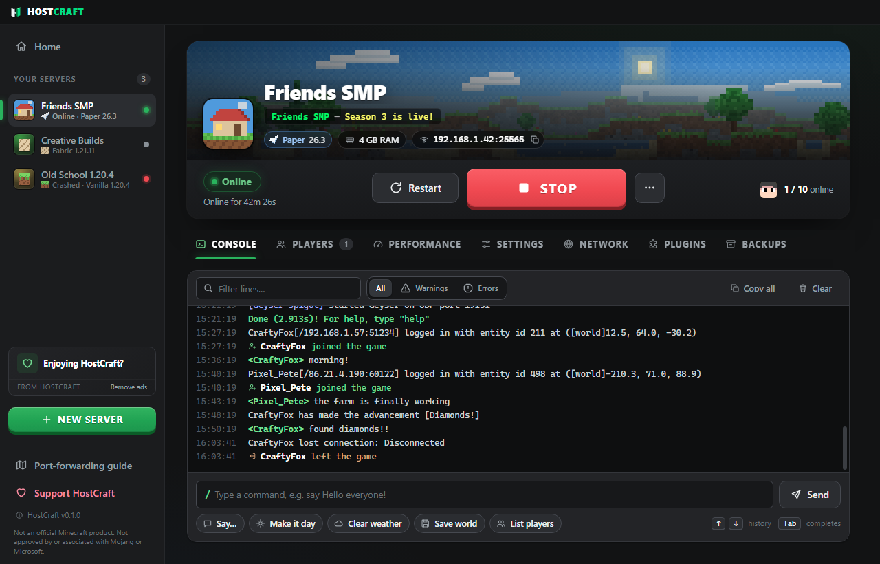Server dashboard with the console